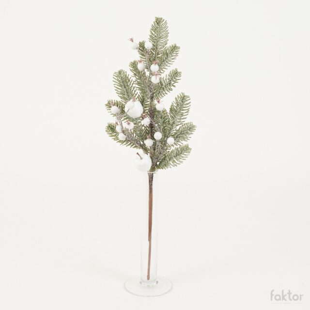 Valkoinen tekokuusenoksa valkoisilla marjoilla