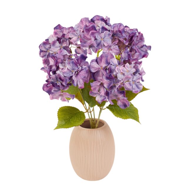 Violetti tekohortensiakimppu