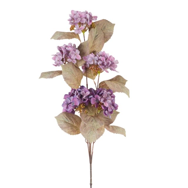 Violetti tekohortensian oksa lehtineen