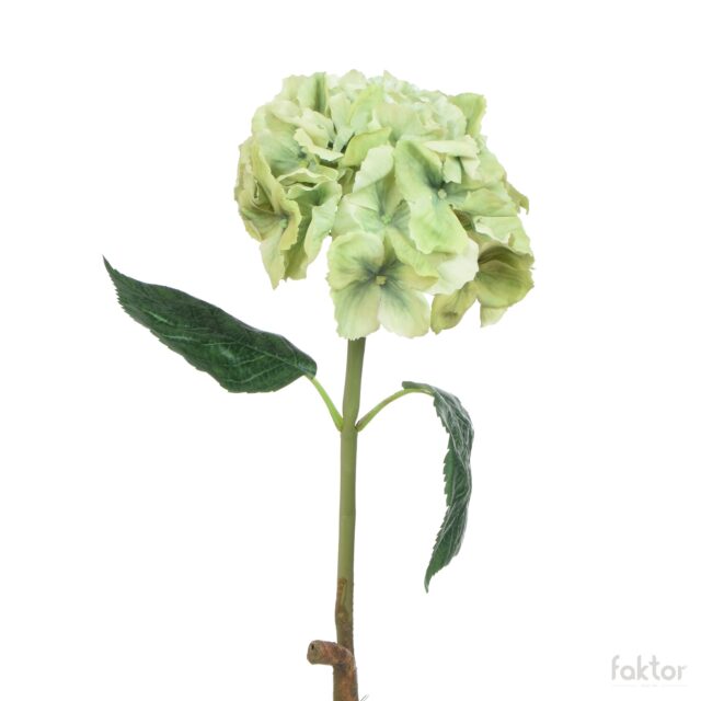 Vihreä kumipintainen tekohortensia varrella