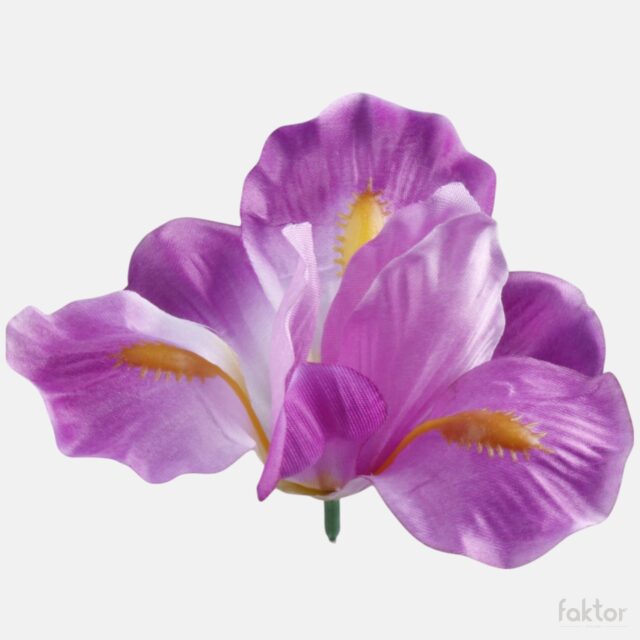 Violetti tekoiiriksen kukkapää