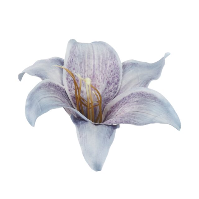 Violetti tekoliljan kukkapää