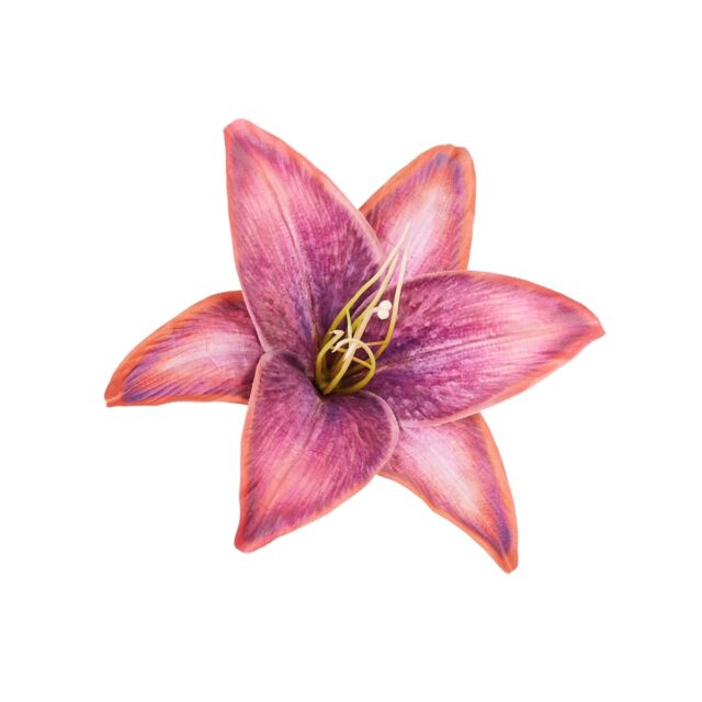 Violetti liljan tekokukan kukkapää