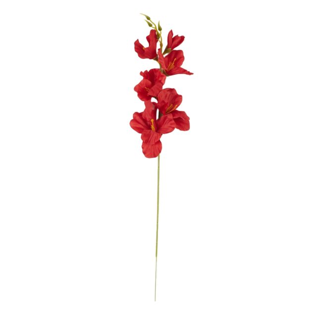 Punainen gladiolus-tekokukkaoksa, 56 cm
