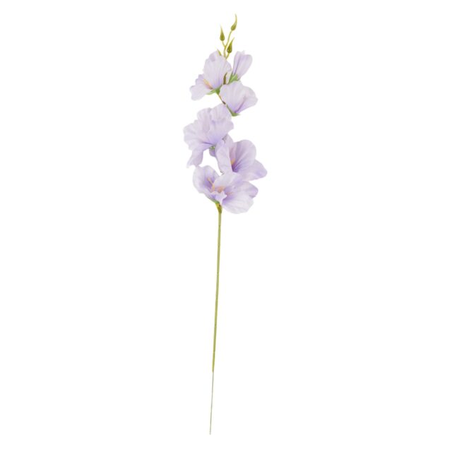 Vaaleanvioletti tekogladiolusoksa