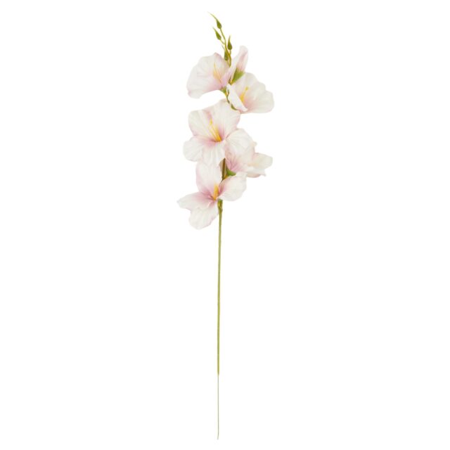 Kermanvaaleanpunainen tekogladiaolin oksa, 56 cm