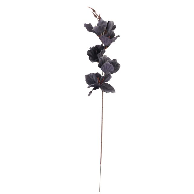 Musta gladiolus-tekokukkaoksa 56 cm