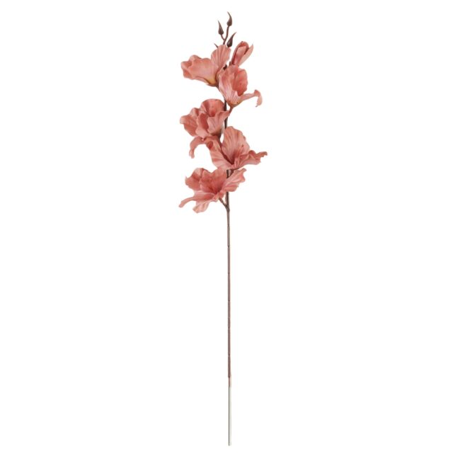 Ruskea tekogladiolusoksa 56 cm