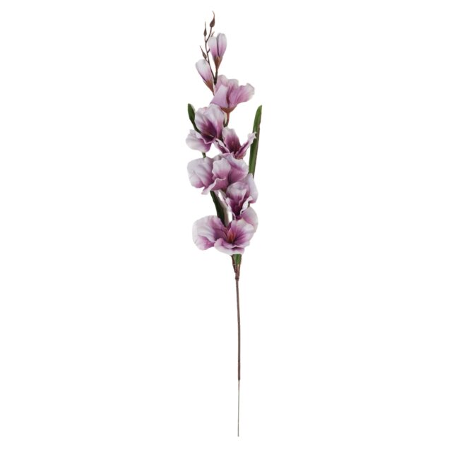 Violetti tekokukkagladioluksen oksa, 63 cm