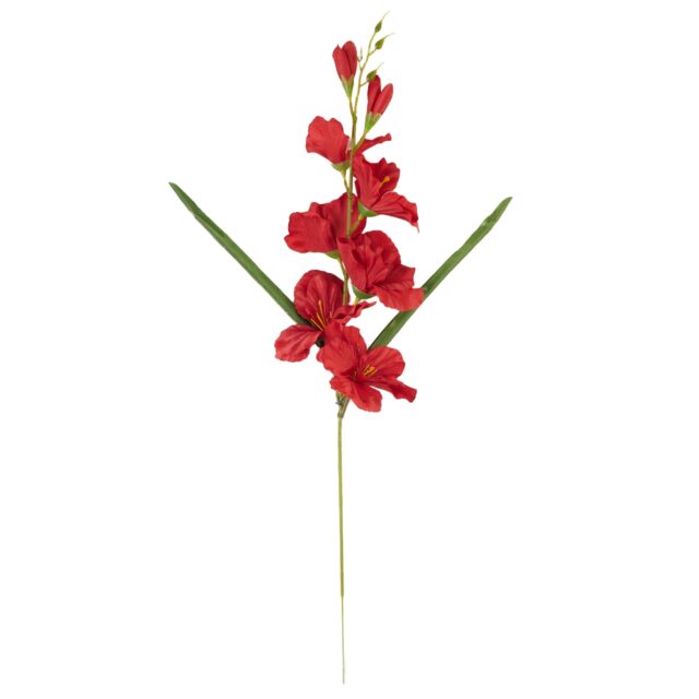 Punainen gladiolus-tekokukkaoksa