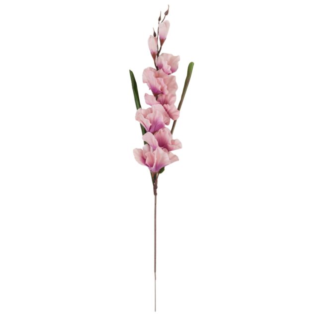 Violetti tekogladiolusoksa 63 cm