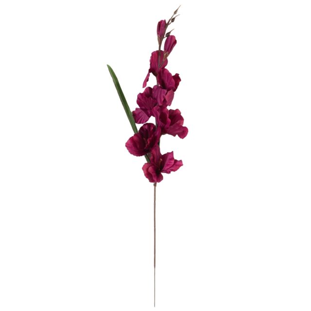 Violetti tekogladiolusoksa 63 cm