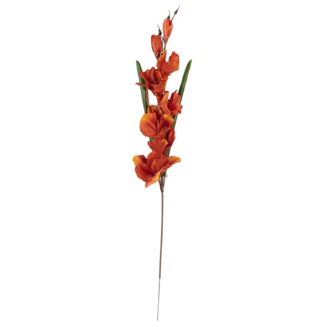 Oranssinruskea tekogladiolin oksa, 63 cm