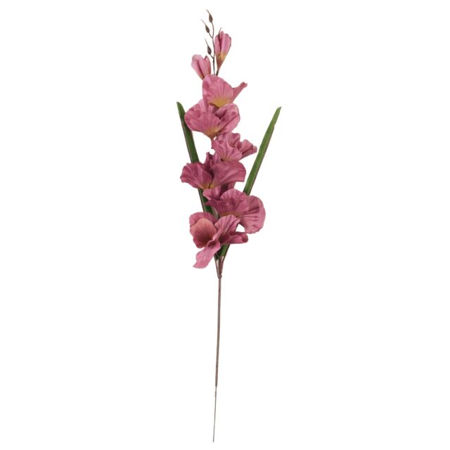 Violetti tekokukkagladioluksen oksa 63 cm