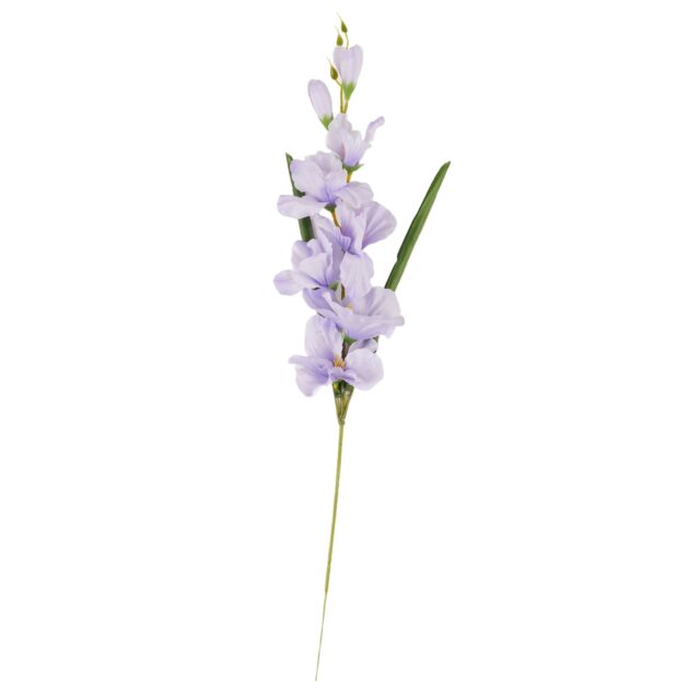 Vaaleanvioletti tekogladiolusoksa, 63 cm