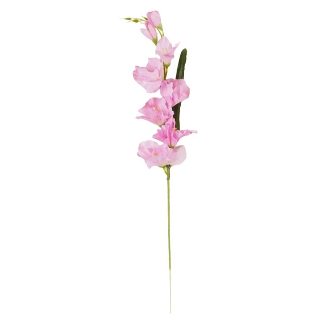 Vaaleanvioletti tekokukkagladiolus pitkällä varrella