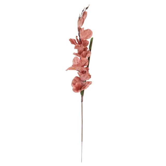 Ruskea tekokukka gladionin oksa, 63 cm