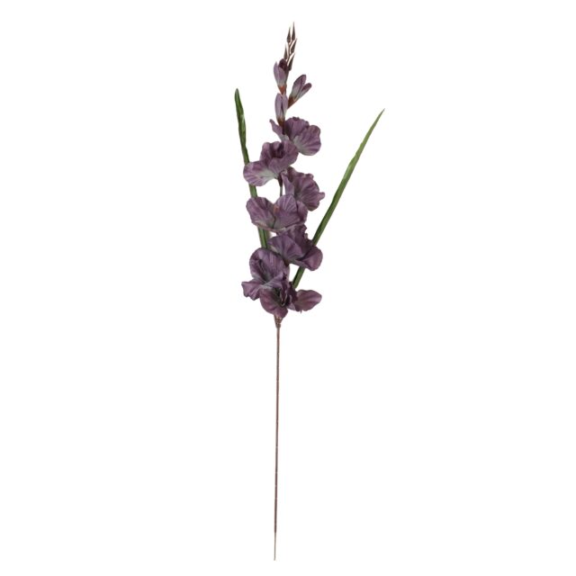 Malvanvärinen tekogladiolusoksa 80 cm