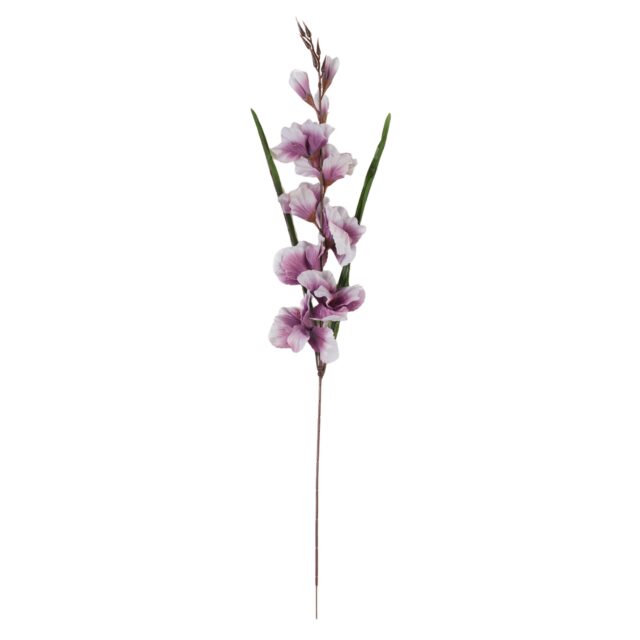 Violetti tekogladiaattorin oksa, 80 cm