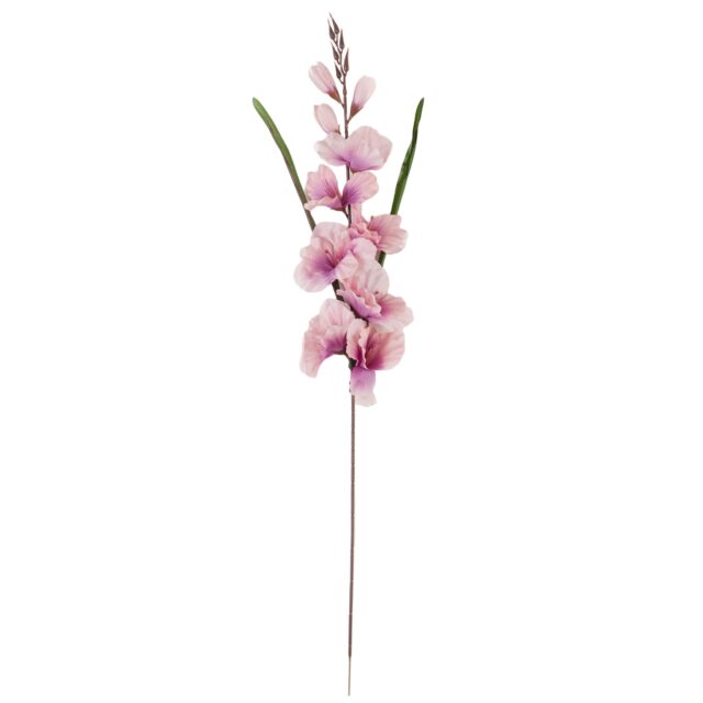 Violetti tekokukkagladioluksen oksa 80 cm