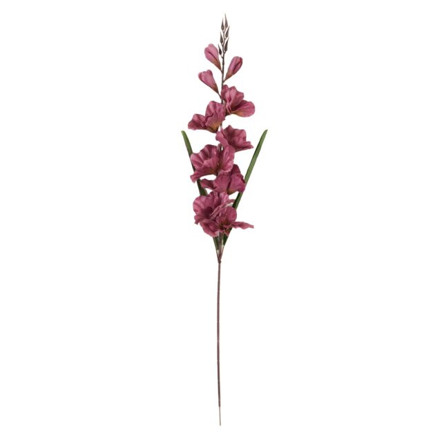 Violetti gladiolus-tekokukkaoksa 80 cm