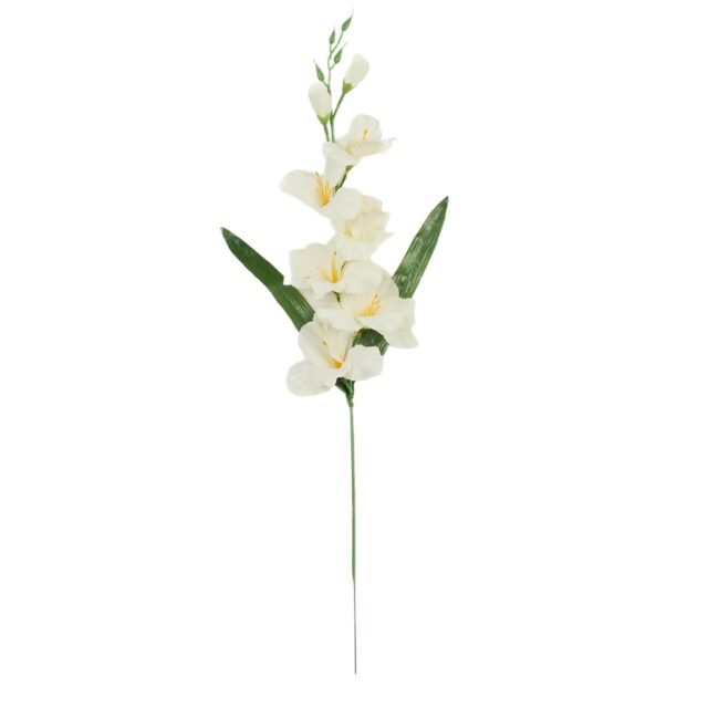Valkoinen gladiolus-tekokukkaoksa