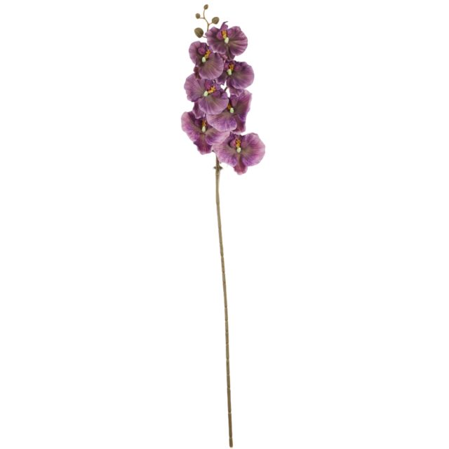 Violetti tekokukkaorkidea varrella