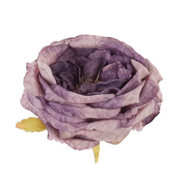 Violetti tekopionin kukkapää
