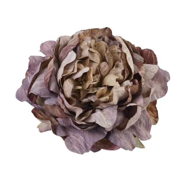 Violetti tekokukkapionin kukkapää B135-13
