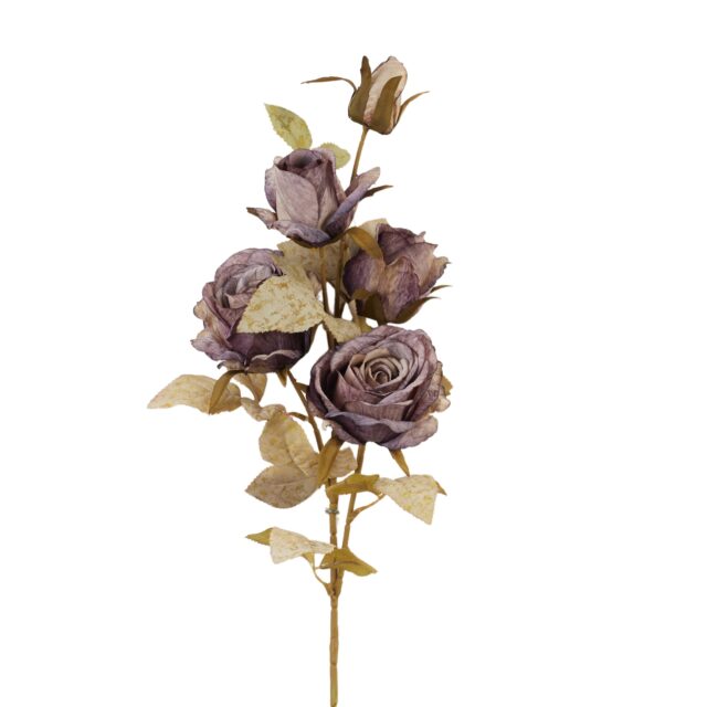 Violetti tekoruusun oksa
