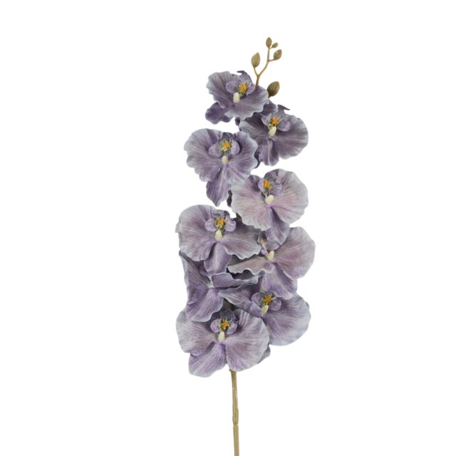 Violetti tekokukkaorkidean oksa